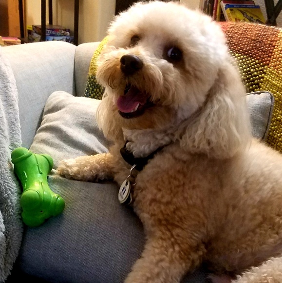 Meet your Posher, Kristin - Picture 1 of 1